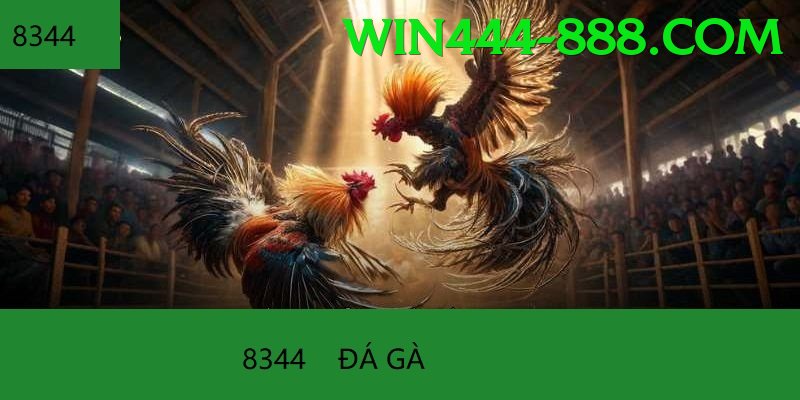 Đá Gà Trực Tiếp - win444